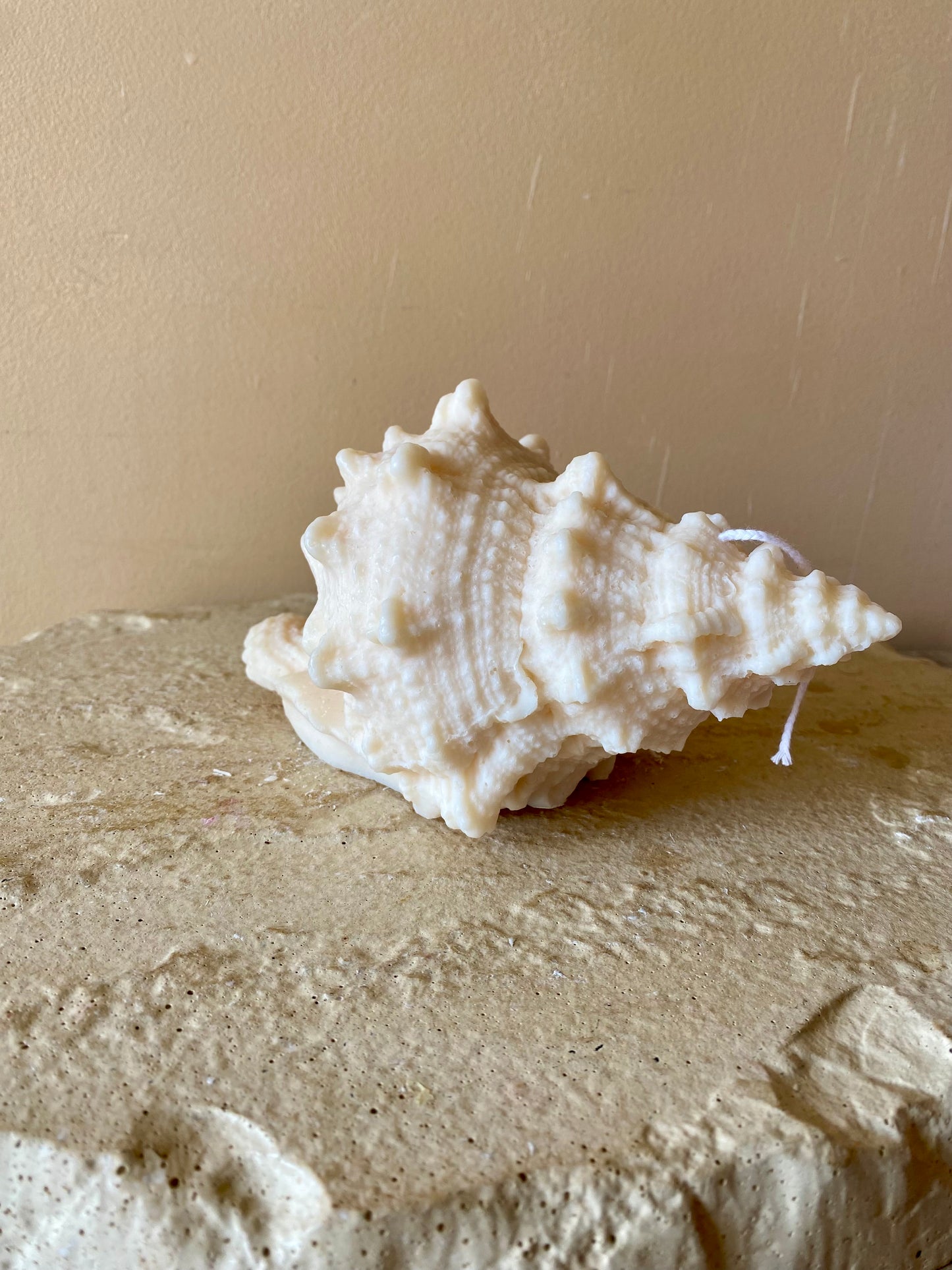 Bougie Coquillage Lambi