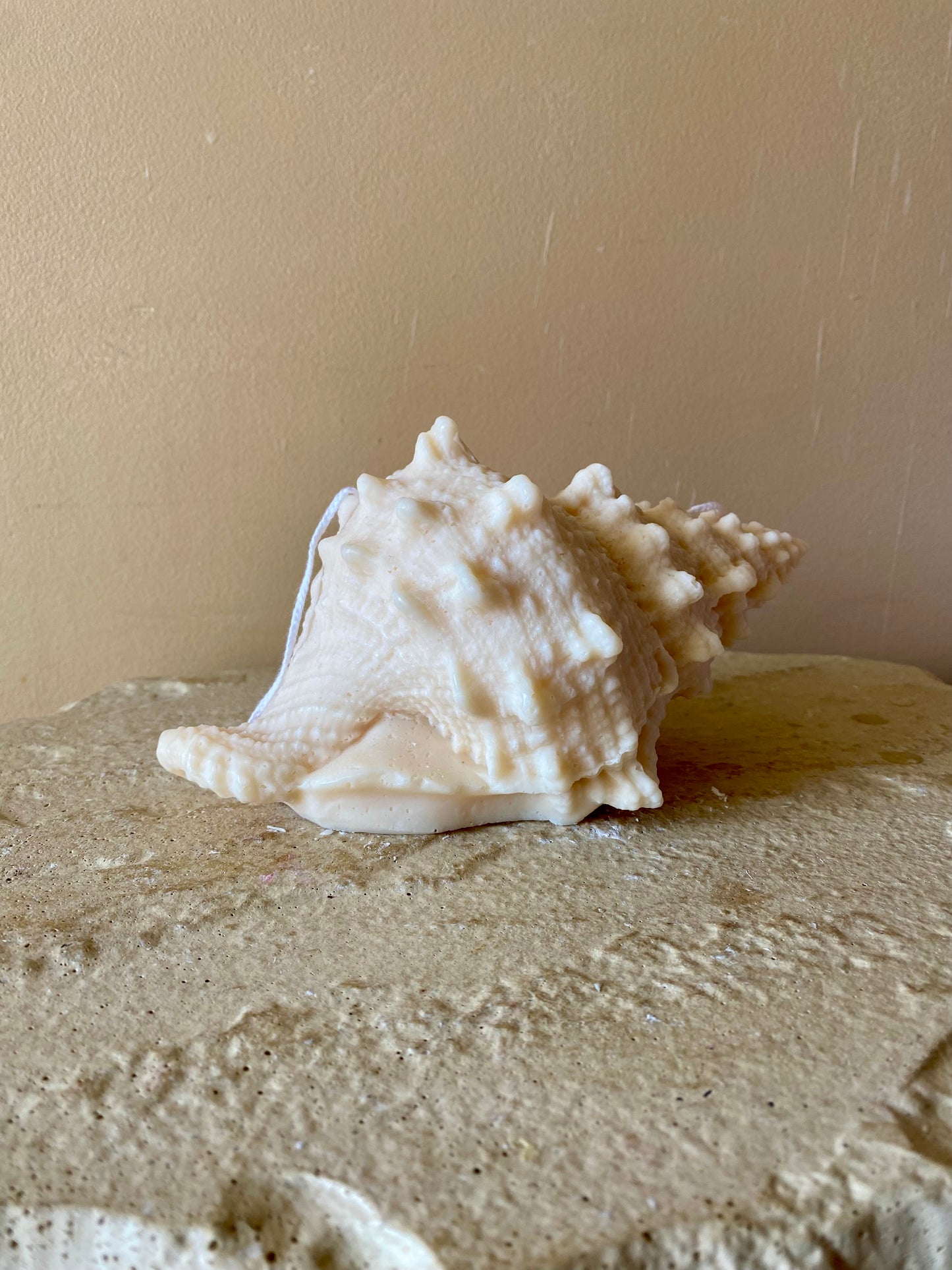 Bougie Coquillage Lambi