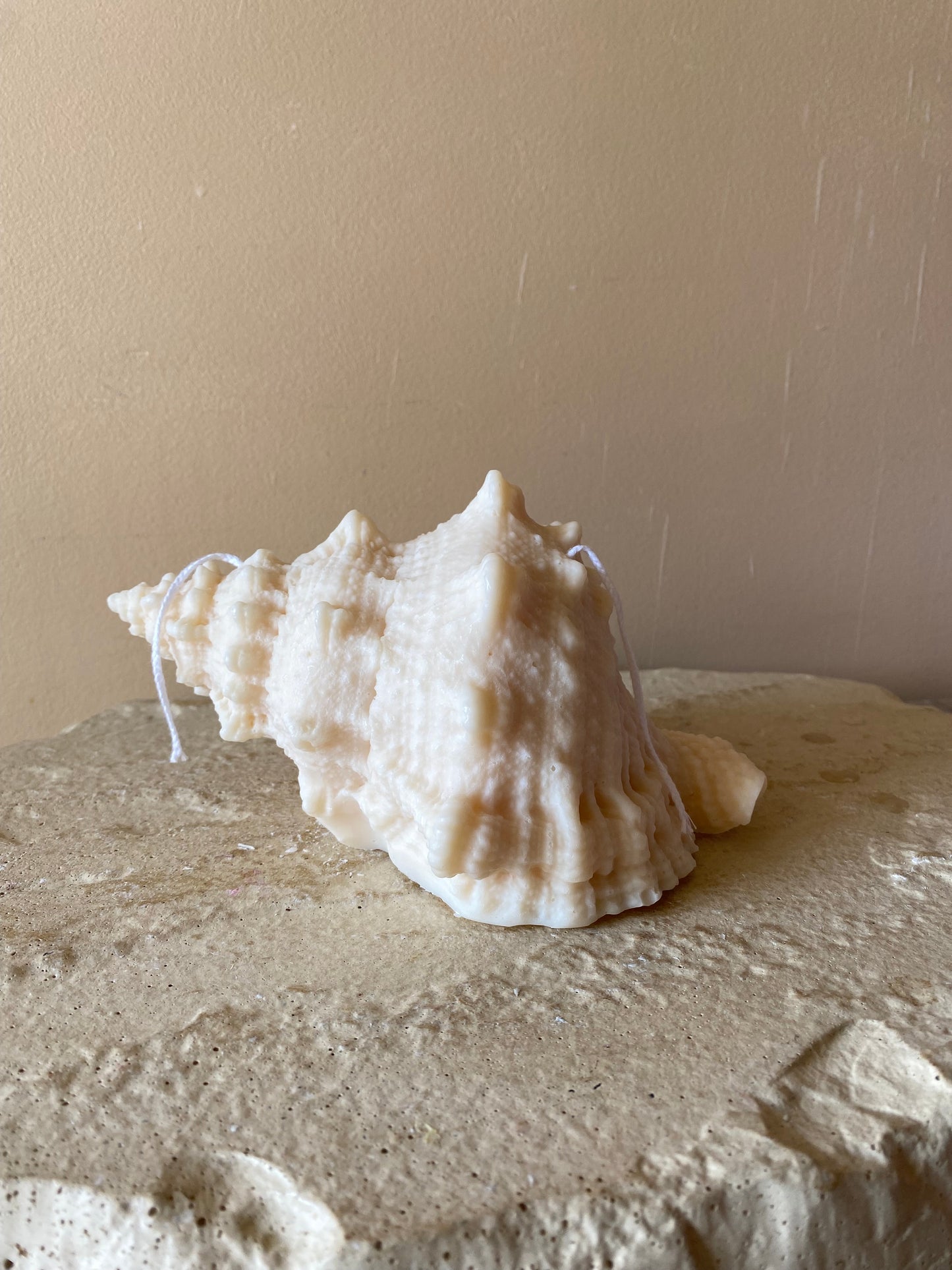 Bougie Coquillage Lambi
