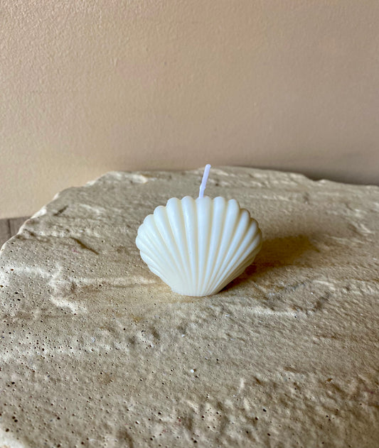 Bougie coquillage